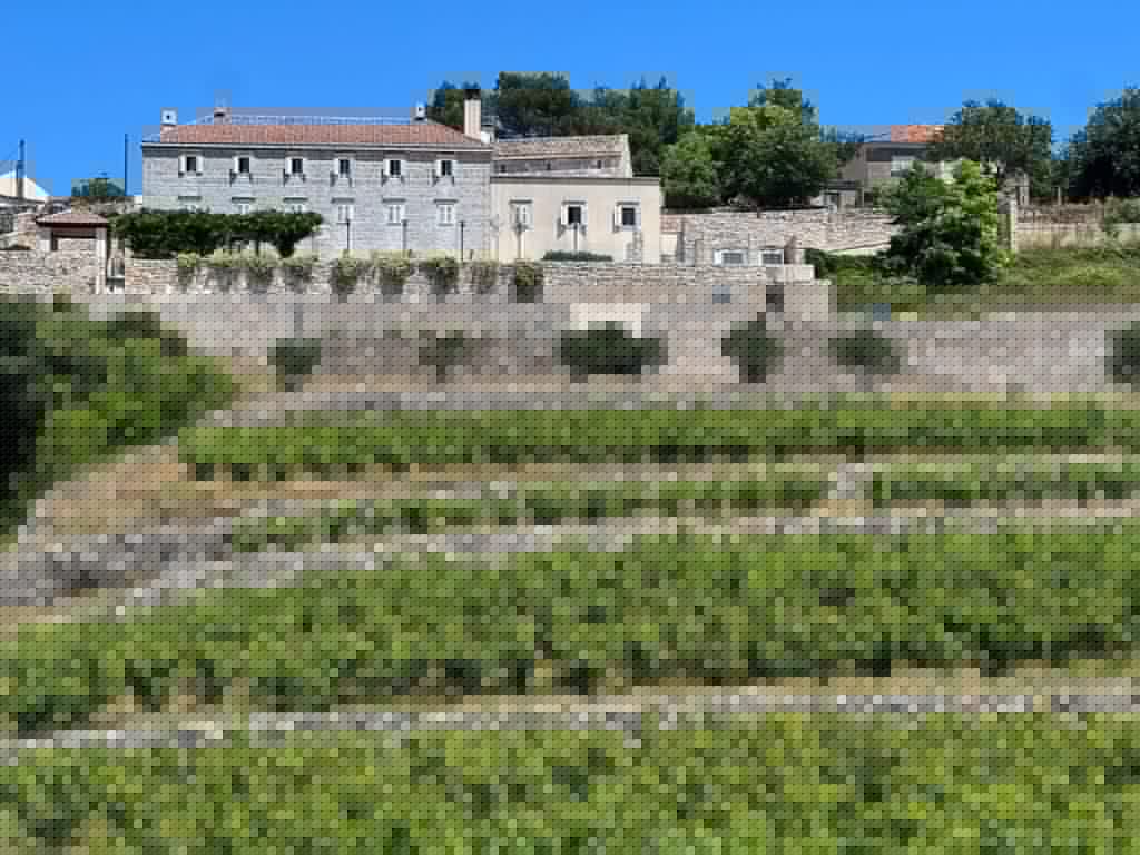 Saints Hills winery